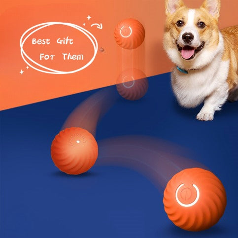 Rubber Bite Resistant Pet Ball Toy For Training