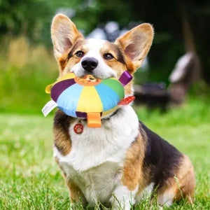 Bite Resistant Squeaky Pet Toy For Stress Relief And Chewing