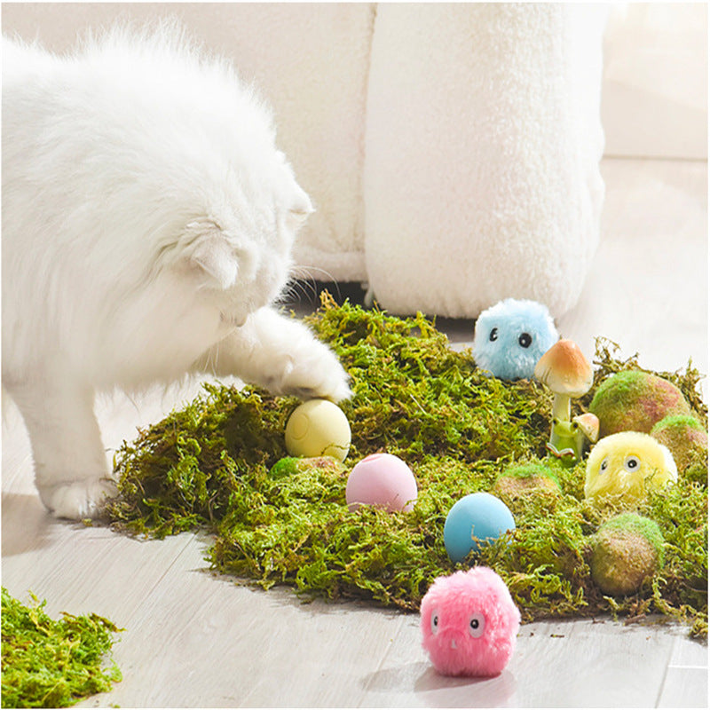 Interactive Light Up Pet Ball Toy With Sound And Catnip