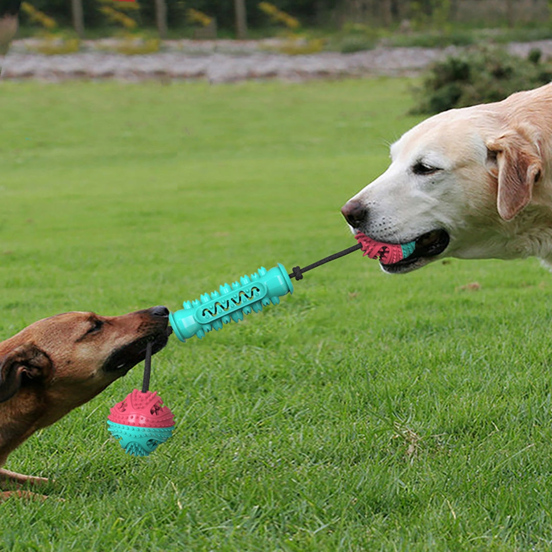Durable Pet Chew Stick Toy For Teeth Cleaning