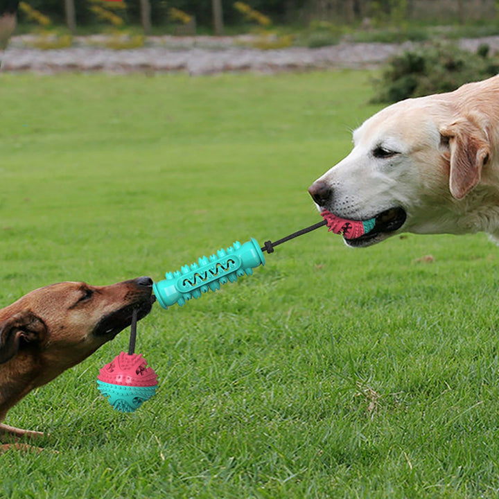 Durable Pet Chew Stick Toy For Teeth Cleaning