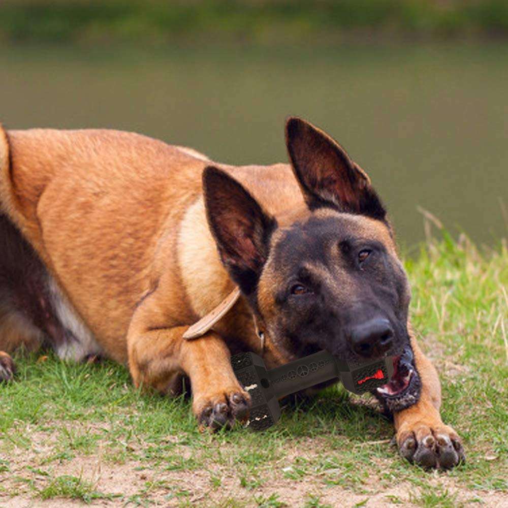 Durable Pet Chew Toy For Aggressive Chewers Dental Cleaning