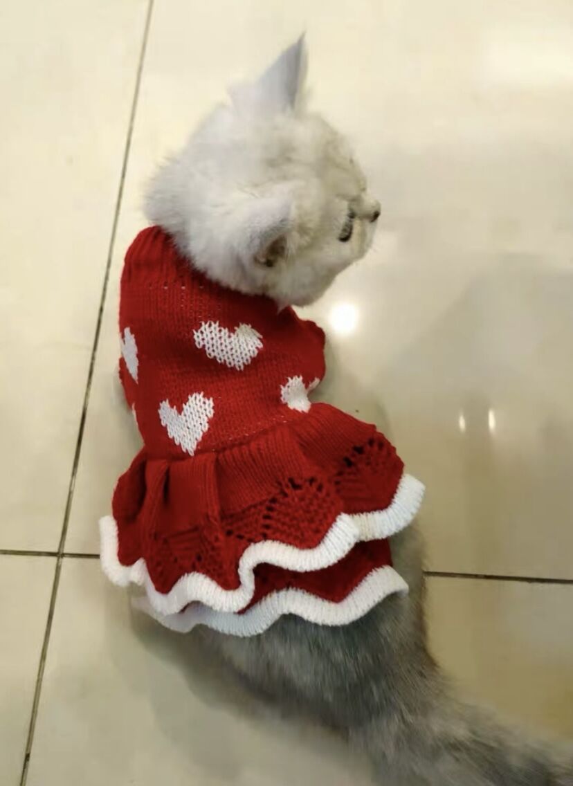 Festive Warm Pet Sweater Dress For New Year Celebration