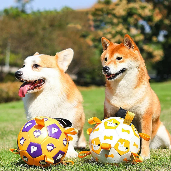 Interactive Football Pet Toy For Outdoor Training And Play