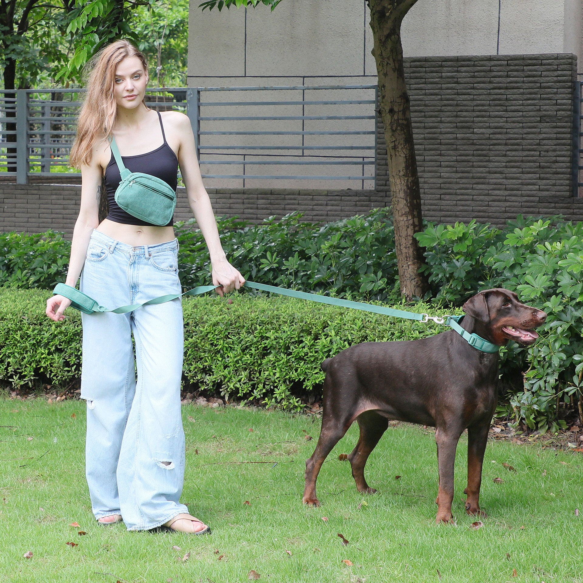 Chest And Back Pet Backpack Walking Bag