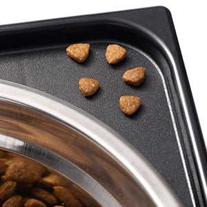 Elevated Anti Tip Pet Feeding Bowl With Neck Support