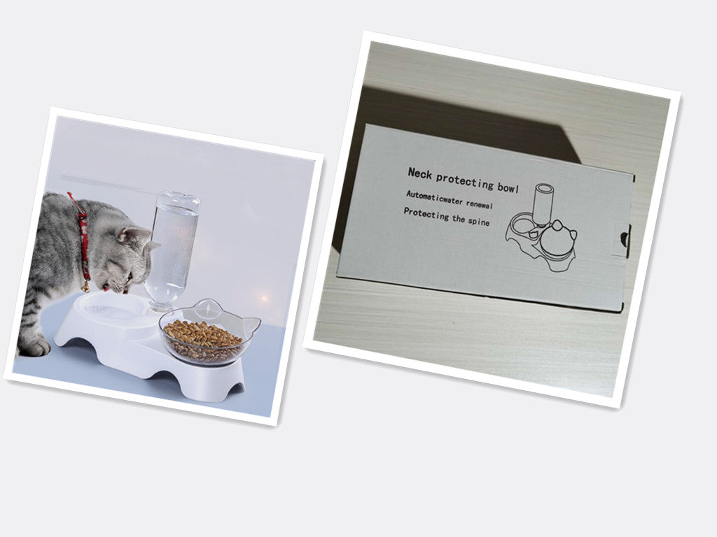 Pet Food Feeder Bowl