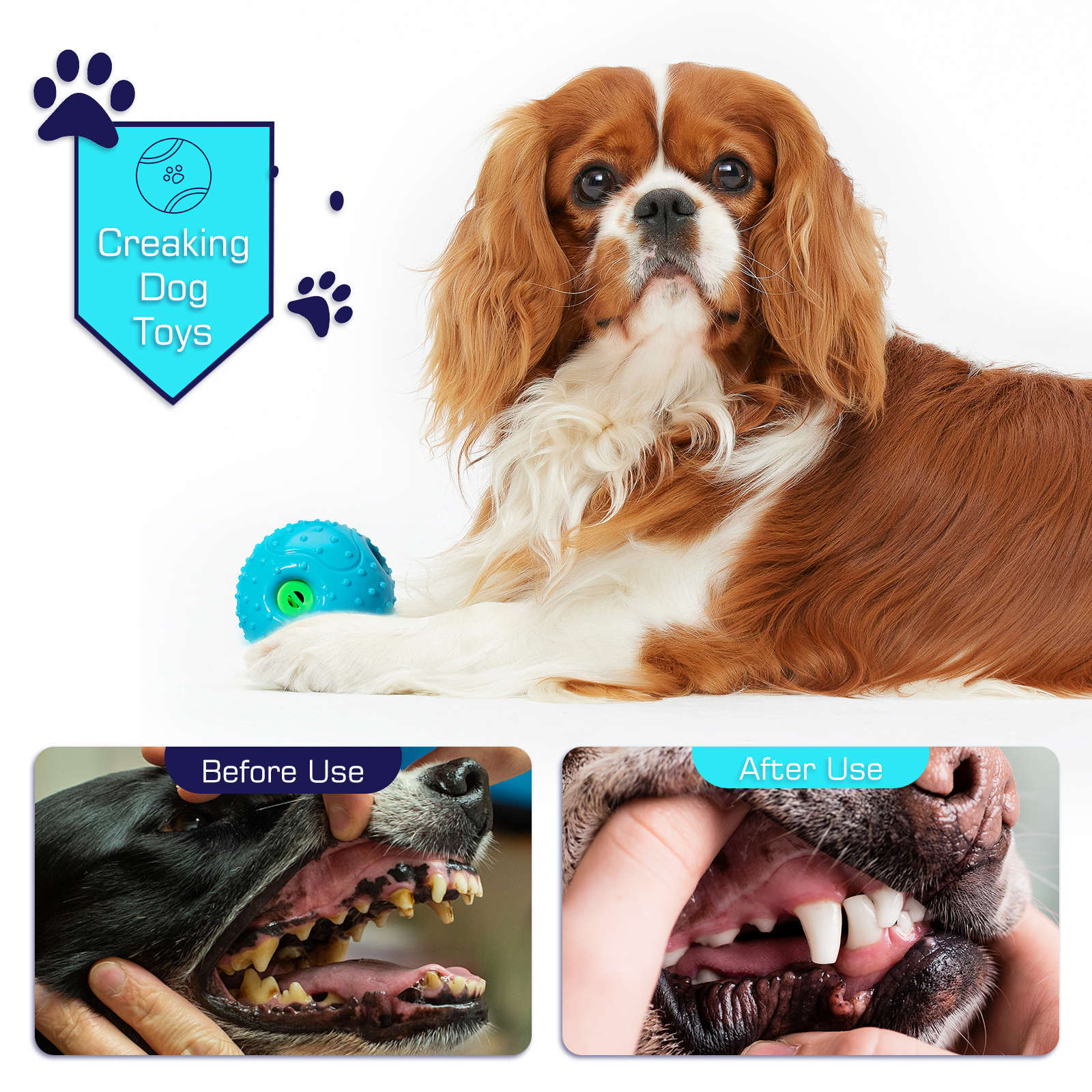 Squeaky Pet Ball Toy For Interactive Play Relief