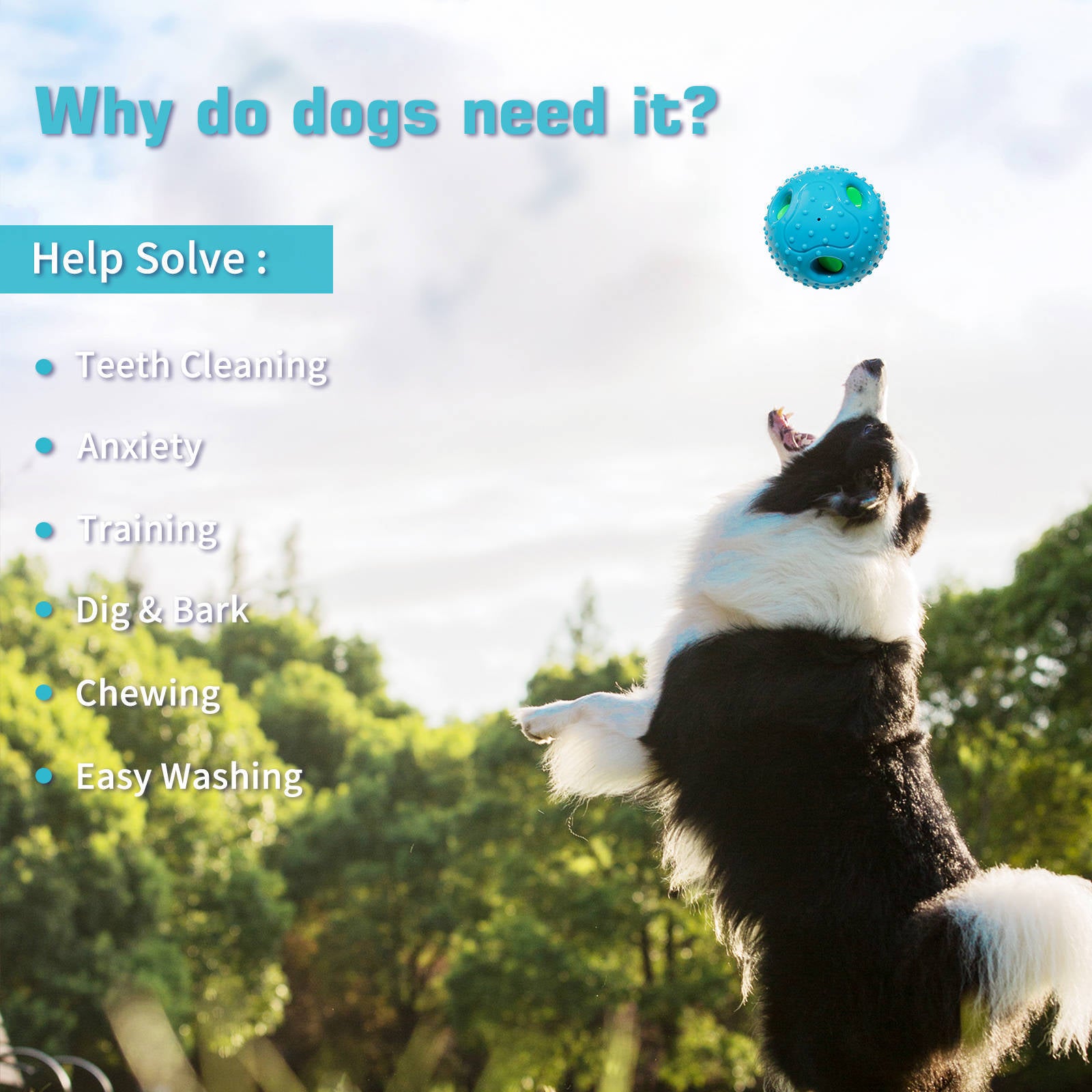 Squeaky Pet Ball Toy For Interactive Play Relief