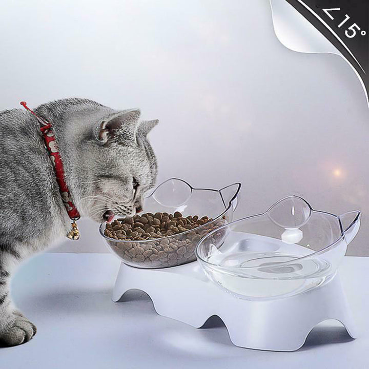 Pet Food Feeder Bowl