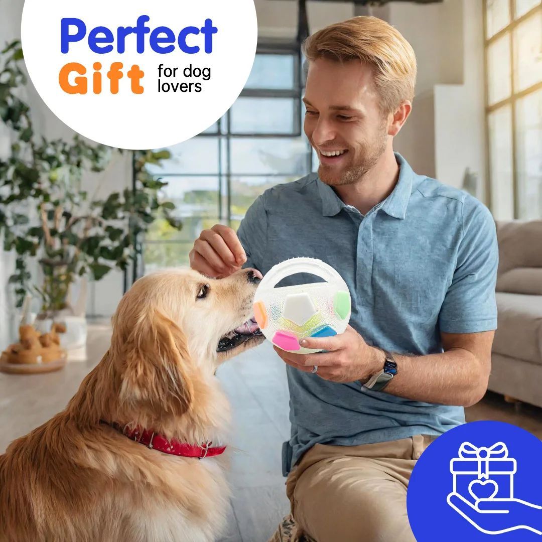 Durable Squeaky Pet Ball Toy For Outdoor Training Play
