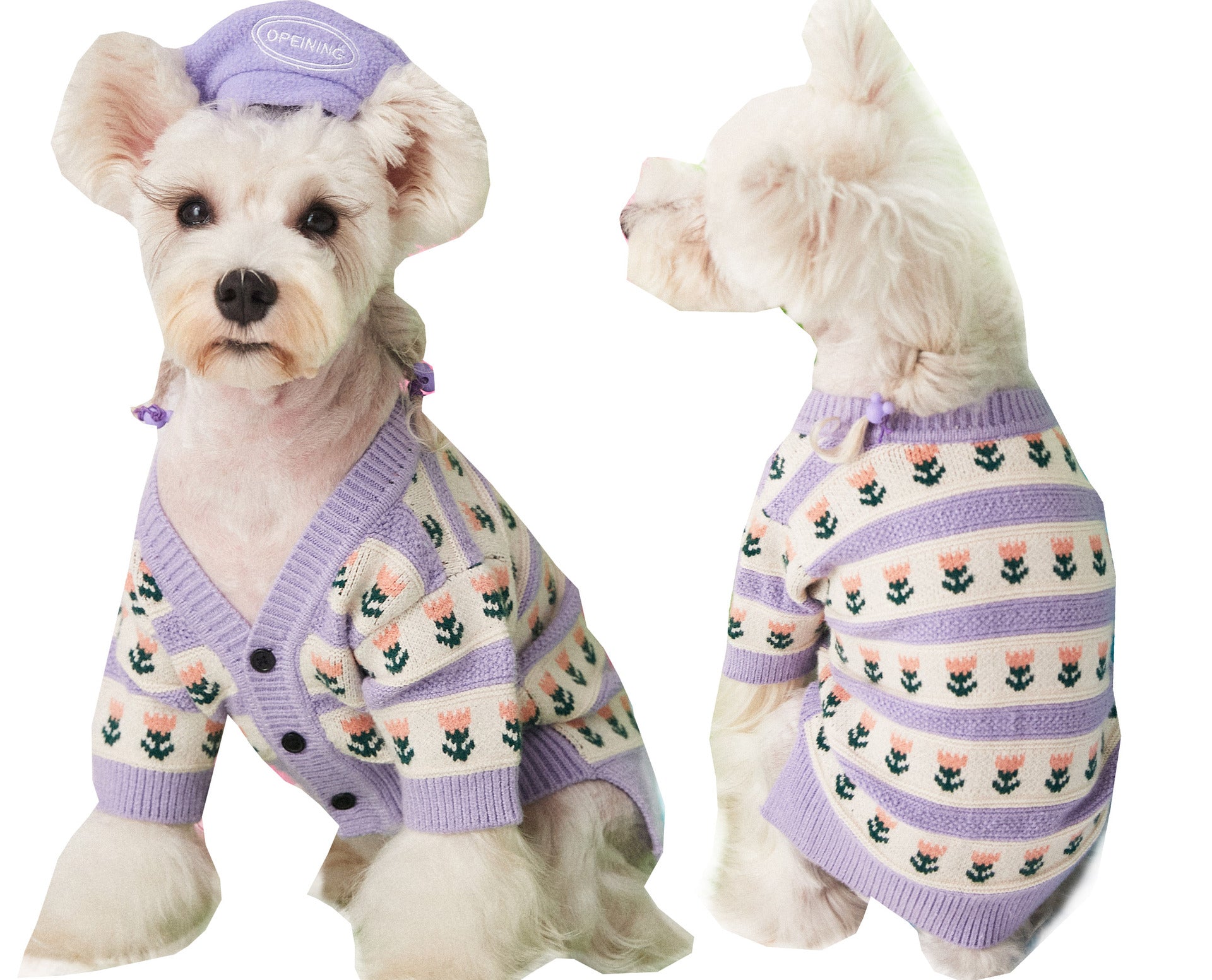 Purple Flower Pet Sweater Cardigan Stylish Comfortable Wear