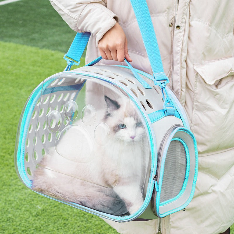 Transparent Space Capsule Pet Backpack Carrier