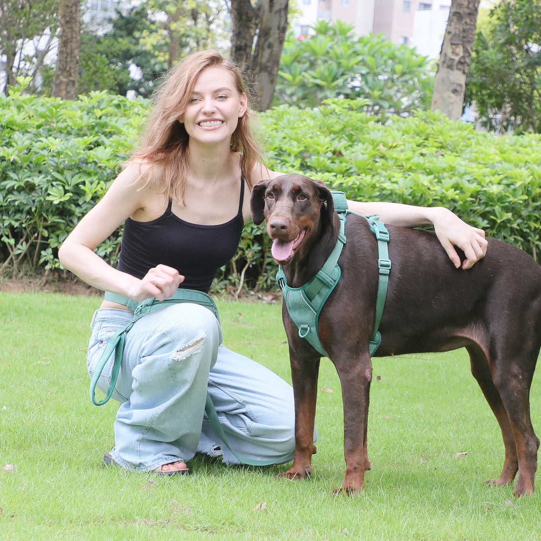Chest And Back Pet Backpack Walking Bag