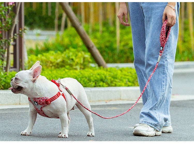 Outdoor Floral Round Handheld Rope Pet Leash