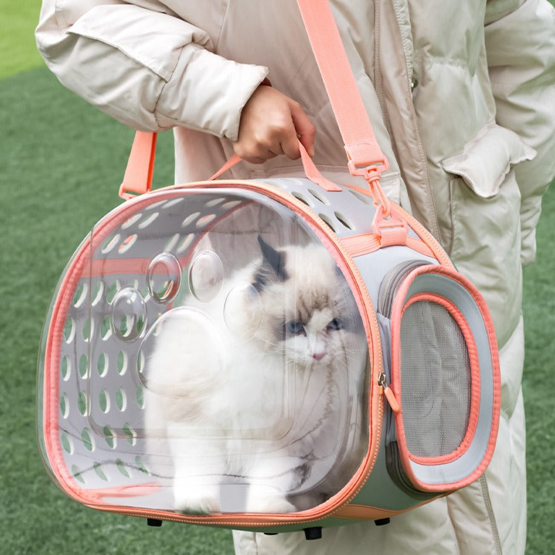 Transparent Space Capsule Pet Backpack Carrier