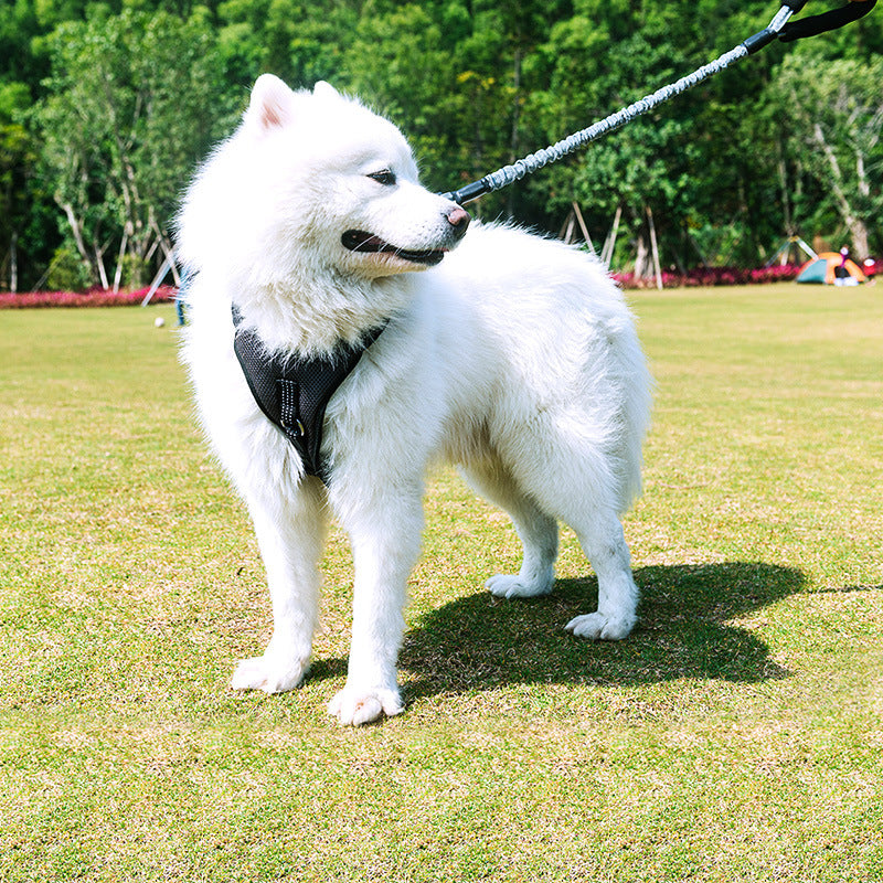 Medium Pet Walking Rope Durable Comfortable Design