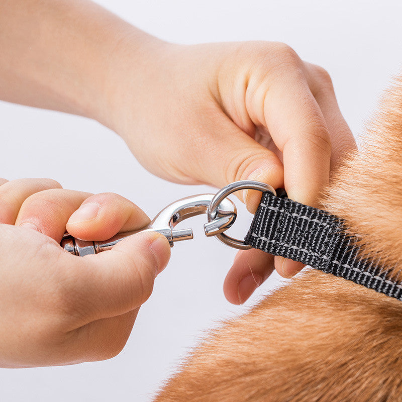 Retractable Pet Leash For Small Medium Large Pets