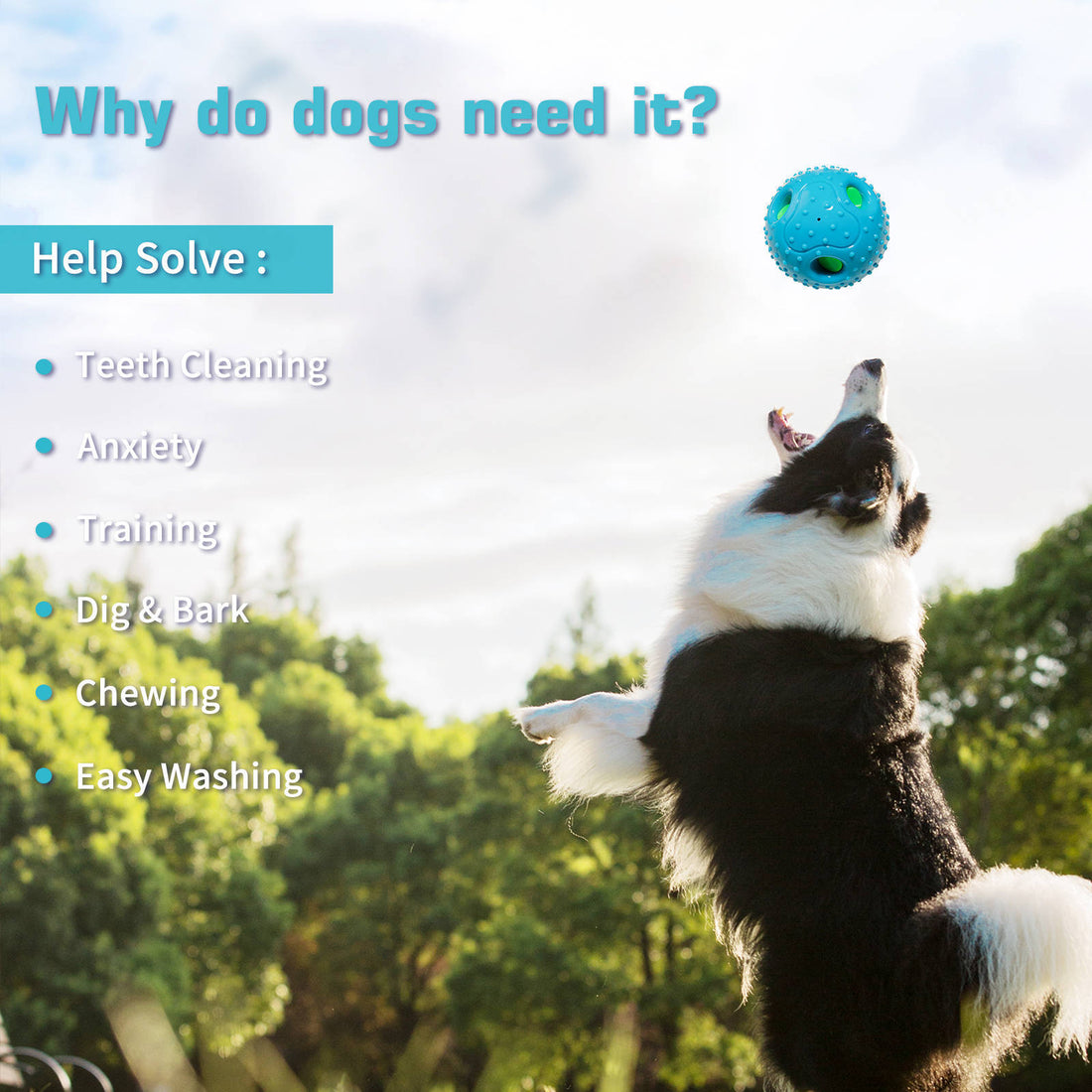 Squeaky Pet Ball Toy For Interactive Play Relief
