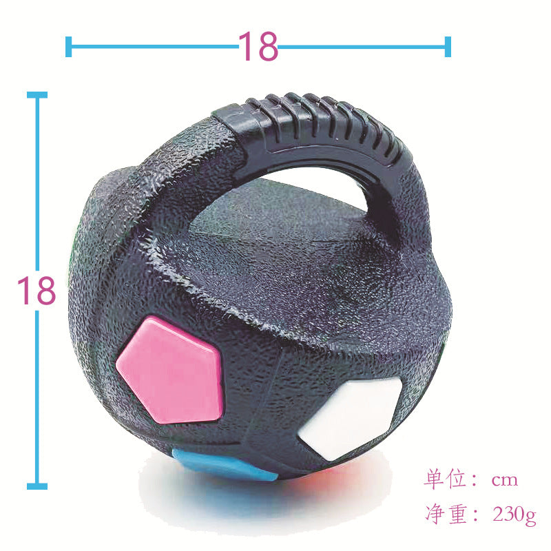 Durable Squeaky Pet Ball Toy For Outdoor Training Play