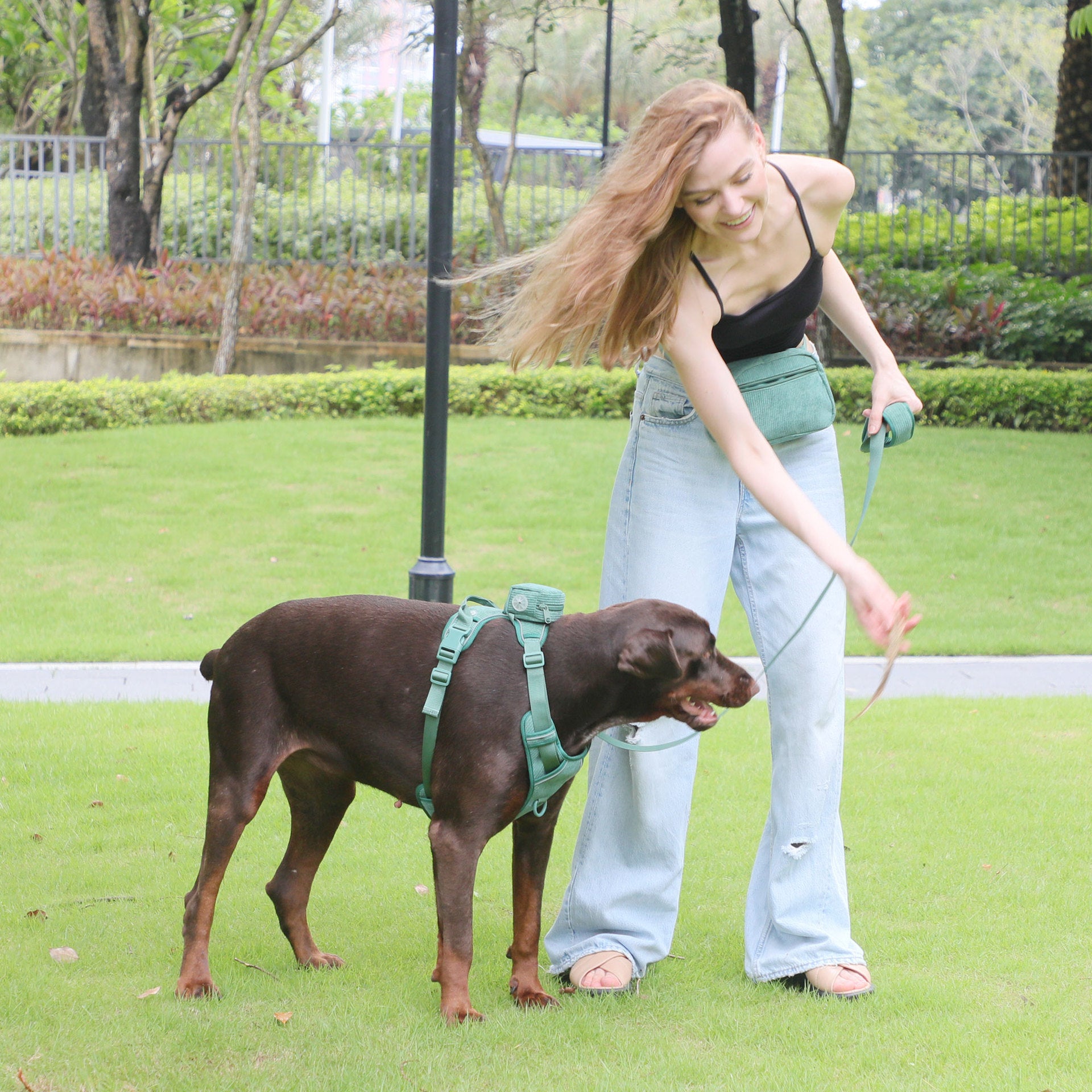 Chest And Back Pet Backpack Walking Bag