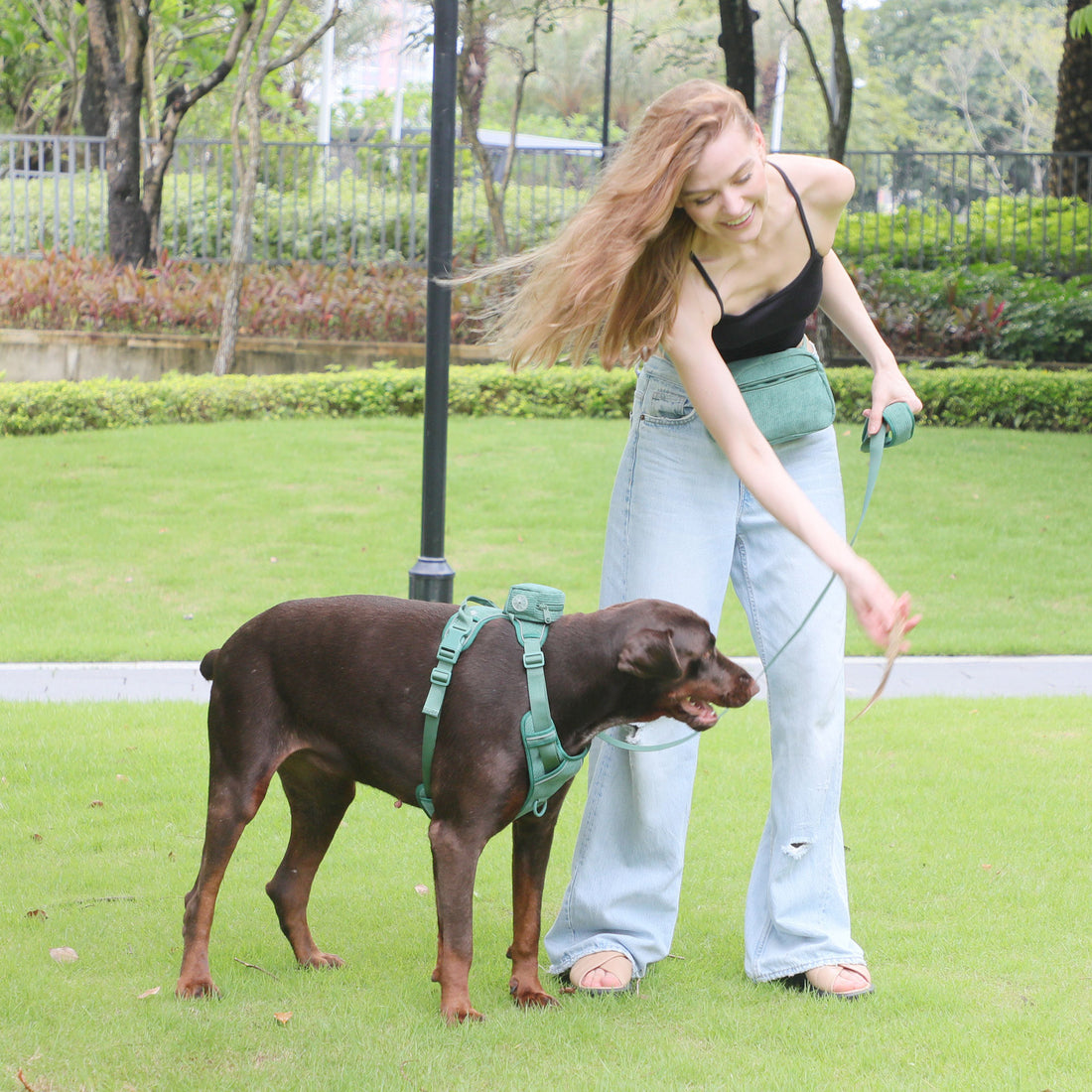 Chest And Back Pet Backpack Walking Bag