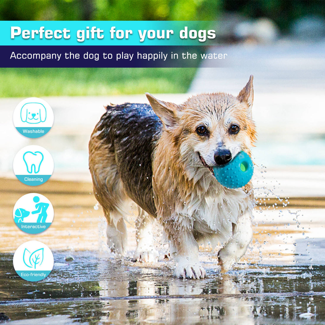 Squeaky Pet Ball Toy For Interactive Play Relief