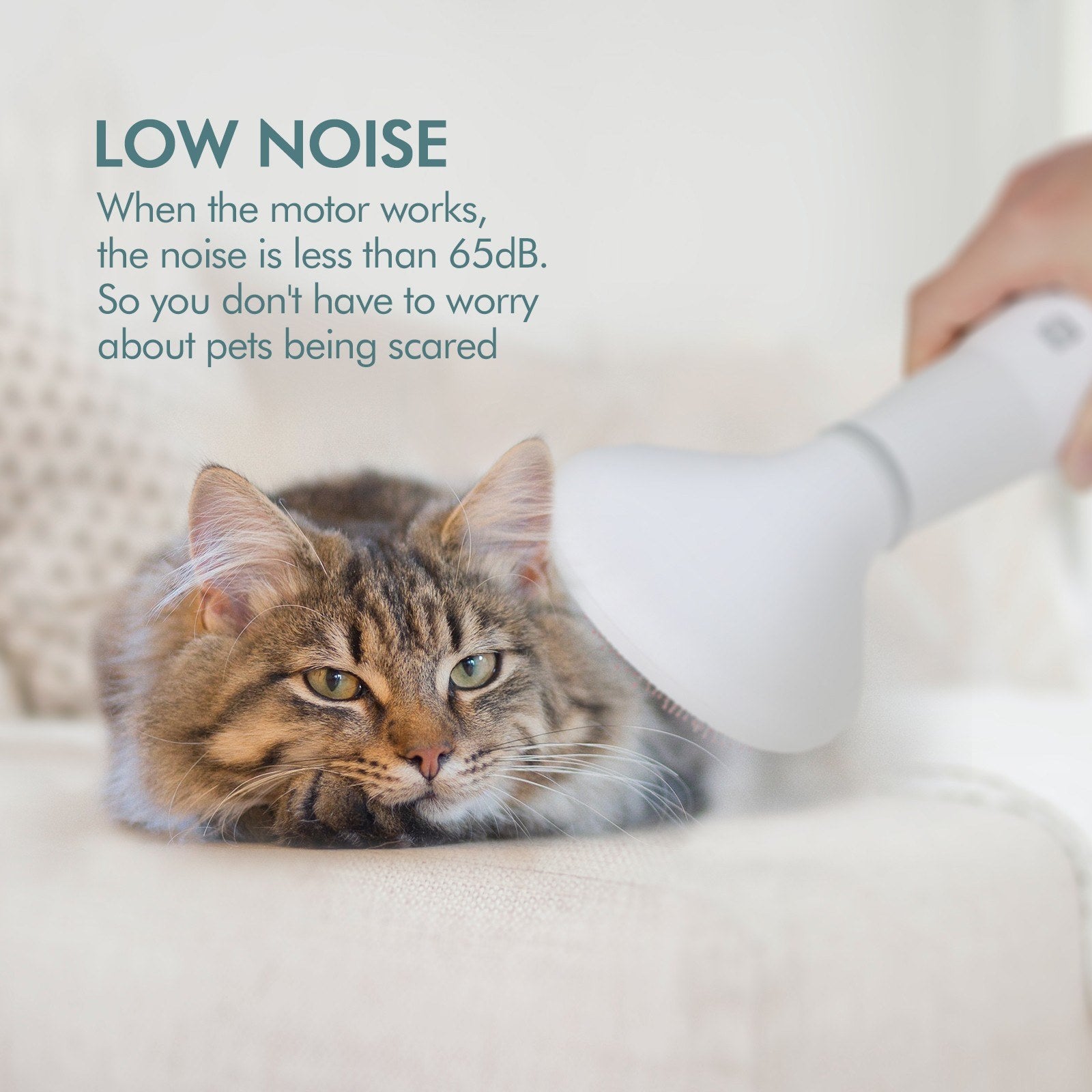 Pet Hair Dryer Grooming Brush Dryer Tool