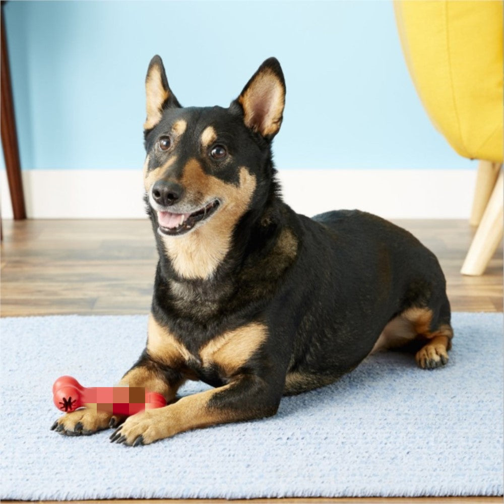 Bite Resistant Rubber Pet Toy For Teeth Grinding