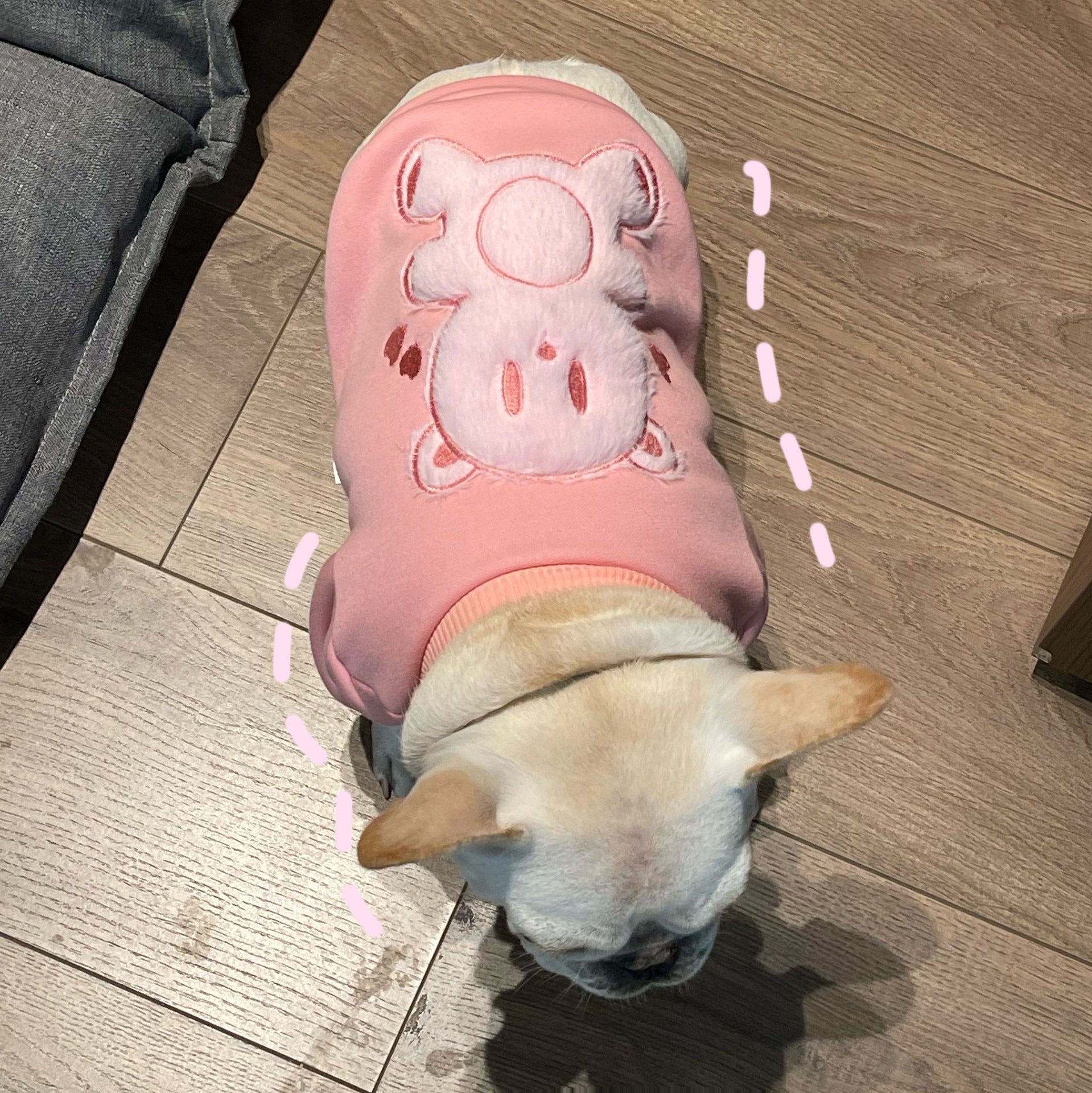 Plush Princess Style Pet Sweater Soft Warm Clothing