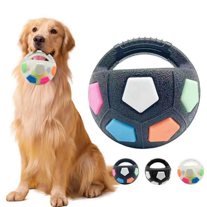 Durable Squeaky Pet Ball Toy For Outdoor Training Play
