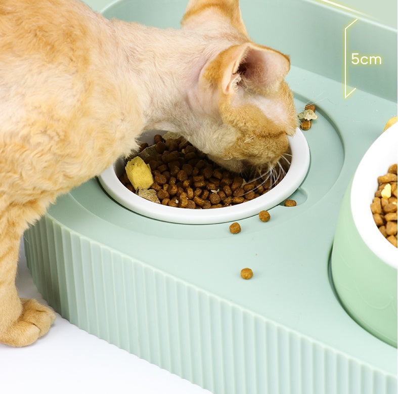 Ceramic Pet Food Bowl with Cervical Spine Support