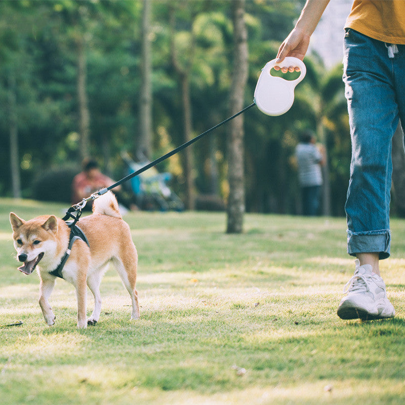 Retractable Pet Leash For Small Medium Large Pets