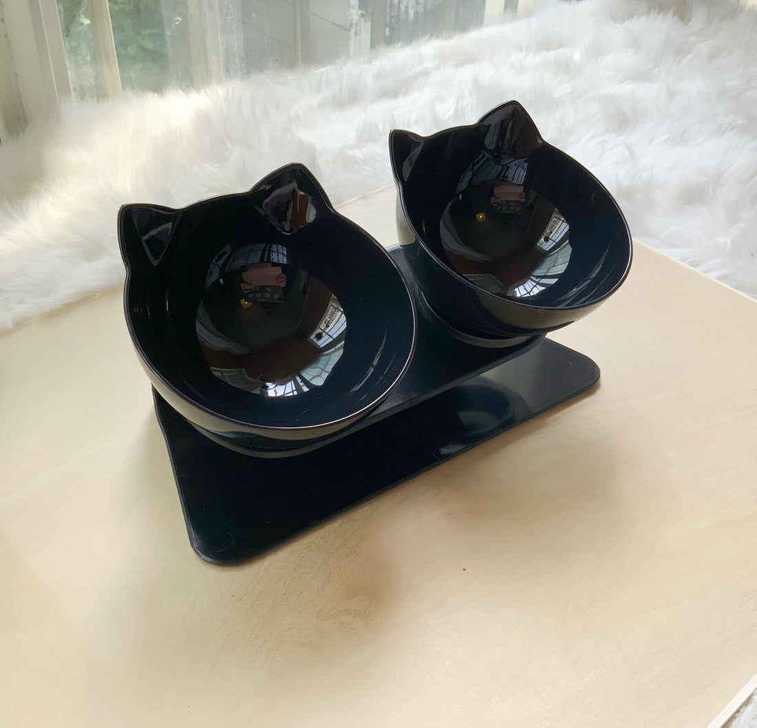 Non-Slip Double Raised Pet Food Bowl Stand
