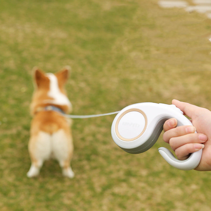 Automatic Retractable Pet Leash Supplies