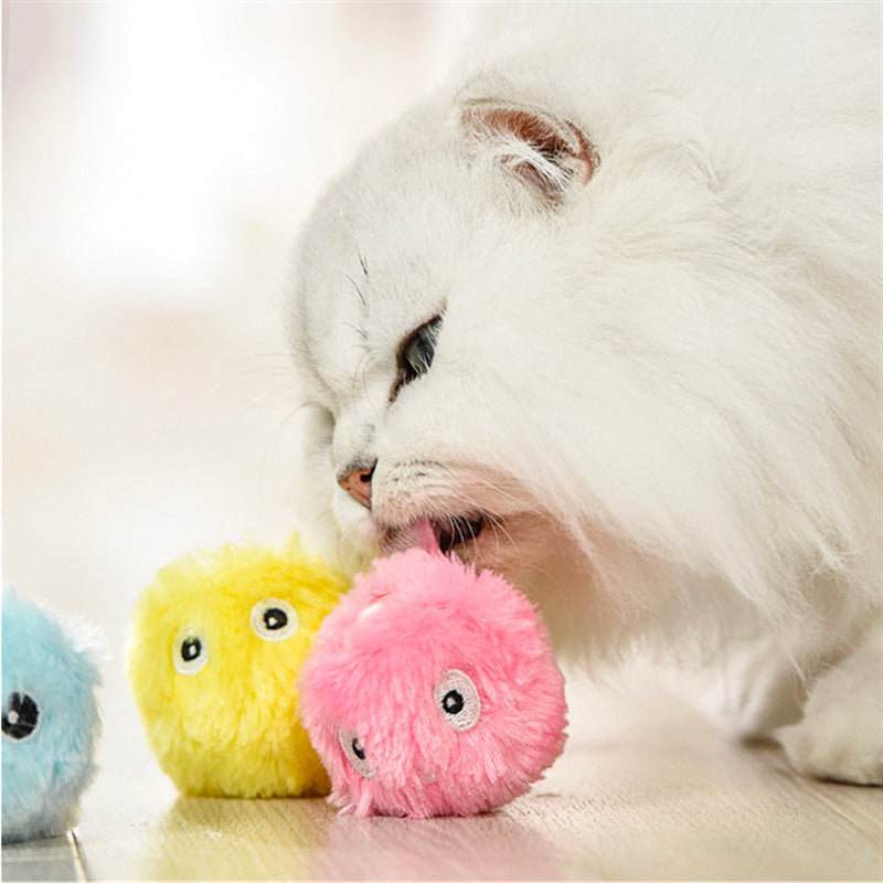 Interactive Light Up Pet Ball Toy With Sound And Catnip
