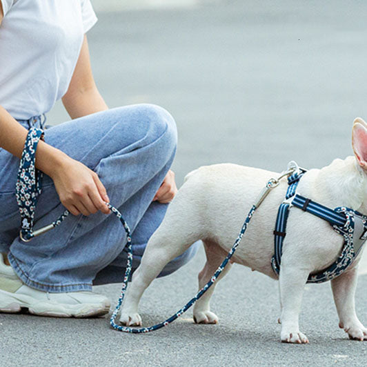 Outdoor Floral Round Handheld Rope Pet Leash