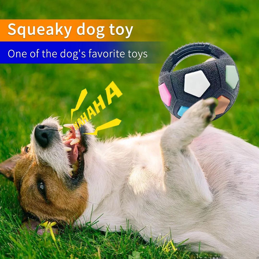 Durable Squeaky Pet Ball Toy For Outdoor Training Play