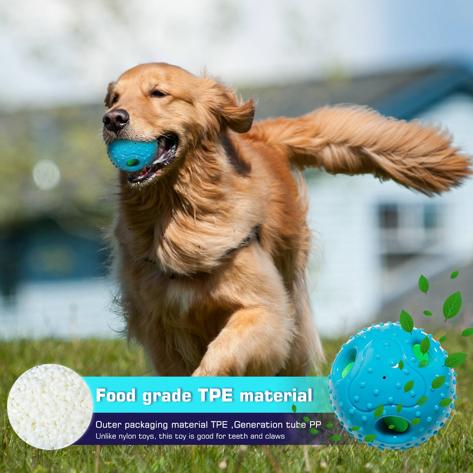 Squeaky Pet Ball Toy For Interactive Play Relief